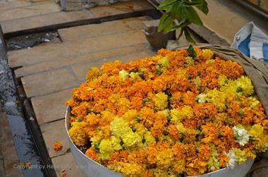 08 Jaisalmer-Walk_DSC3215_b_H600